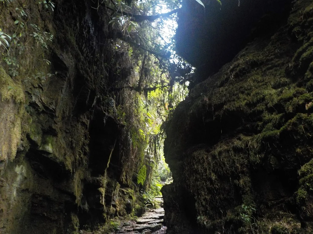 parque san rafael